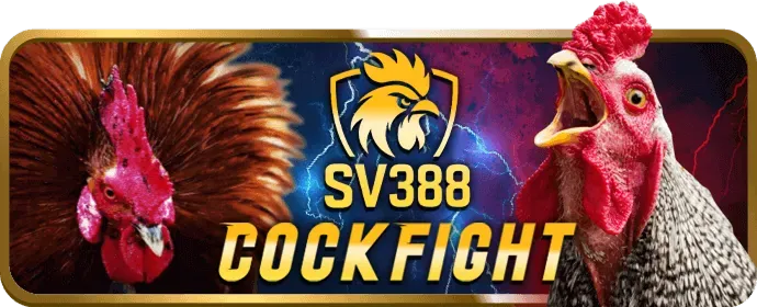 Hình ảnh Cá cược có trách nhiệm tại j7bet win